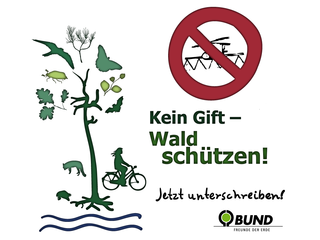 Kein Gift gegen Maikäfer! Waldschutz fordern!