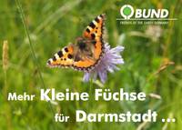 Postkarte Mehr Kleine Füchse für Darmstadt ...