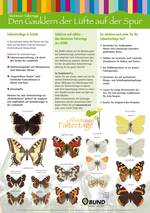 Dieses Plakat mit Schutzgründen und Abbildungen der Schmetterlinge können Sie sich herunterladen (PDF, ca. 780 KB).