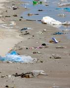 Plastiktüten am Strand; Foto: istockphoto / enviromantic