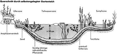 BUND Gartenteich bauen und pflegen
