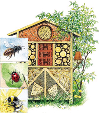 "Das Insektenhotel" - das Beispiel eines Insektenhotels ist das Titelbild des gleichnamigen Buches aus dem Pala-Verlag Darmstadt.